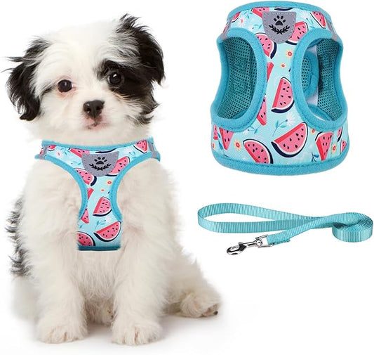 KOOLTAIL Dog Harness and Leash Set for Small Medium Dogs, Step in No Pull Soft Mesh Dog Harness Comfort Padded Pet Vest, Adjustable Reflective Easy Walking Puppy Cats Harness Training, Watermelon XS
