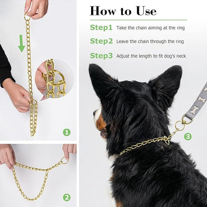 Chain Choke Collar for Dogs,Heavy Chain Dog Metal Training Choke Collars, Martingale Puppy Collars for XS Small Medium Large Big XL Breed Dogs (Gold, S(Neck Max 16inch) D2.5mm)