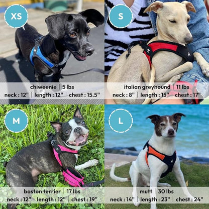 Gooby Escape Free Easy Fit Harness - Orange, Large - No Pull Step-in Patented Small Dog Harness with Quick Release Buckle - Perfect On The Go No Pull Harness for Small Dogs or Medium Dog Harness