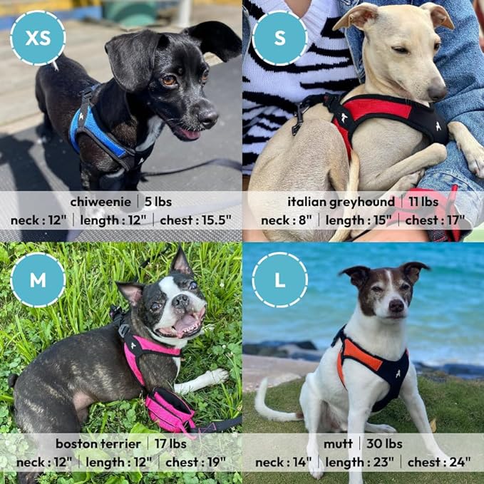 Gooby - Escape Free Easy Fit Harness, Small Dog Step-In Harness for Dogs that Like to Escape Their Harness, Blue, X-Small