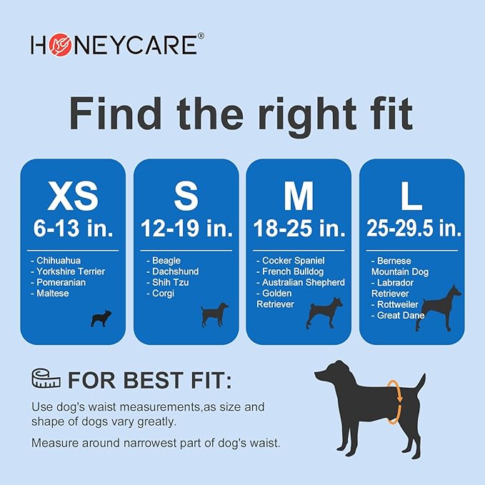 HONEY CARE All-Absorb A27 Male Dog Wrap,Extra Small,50 Count (Pack of 6)