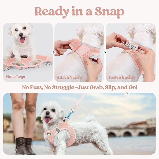 rabbitgoo Dog Harness Small Sized and Leash Set, Step in Soft Light Puppy Vest, Breathable Mesh Pet Harness, Reflective for Outdoor Safe Walking, Pink XL