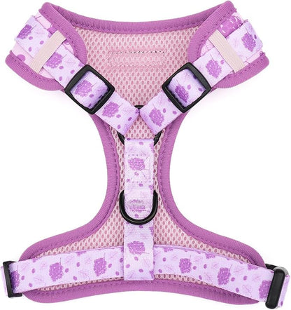Dog Harness and Leash Set, Adjustable Dog Harness, Dog Leash, No Pull No Choke Puppy Harnesses for Walking Training for Small Medium Pet (Wines, M(Chest 15.7-22.1", Neck 12-15"))