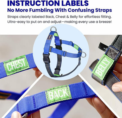 No Pull Dog Harness Freedom Walking, Easy Walk with Front and Back Stainless D-Rings, Sewn-in Instructions Tags for Easy Use, for Medium/Large Dogs Weight 40-60 lbs (Blue, Med/Large)