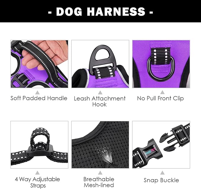 PHOEPET Reflective Dog Harness Large Breed Adjustable No Pull Vest with Handle 2 Metal Rings 3 Buckles [Easy to Put on & Take Off](L, Purple)