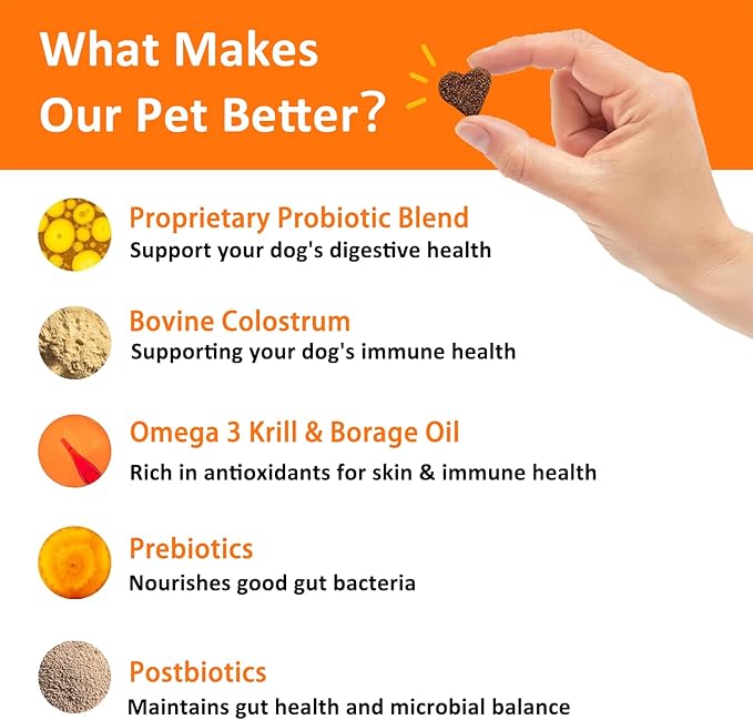 Dog Allergy Relief Chews- Allergy & Immune Probiotics, Support Seasonal Allergies, Gut & Digestive Health, Dog Itching Skin,Paw & Ears Relief- Bacon Flavor -120 Count (3 Pack/Love it)