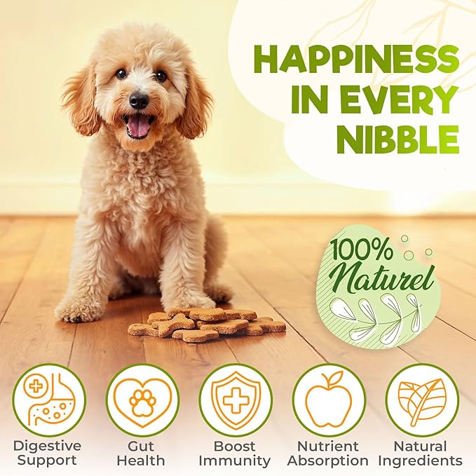 ZENO Probiotics for Dogs Chews - 150 pcs - Digestive & Gut Health Support - Probiotic Chews for Dogs with Enzymes & Natural Ingredients - US Formula - Pumpkin Flavor