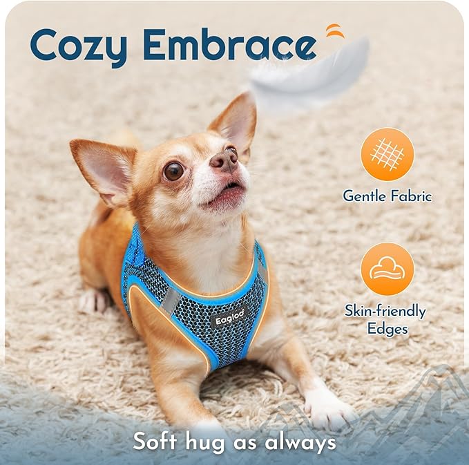 Eagloo Small Dog Harness and Leash Set, Step in Puppy Vest with Breathable Soft Mesh, Walking Reflective Pet Harness for Medium Small Dogs, Blue, M