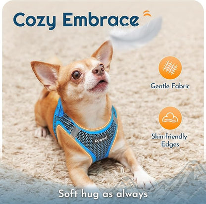 Eagloo Small Dog Harness and Leash Set, Step in Puppy Vest with Breathable Soft Mesh, Walking Reflective Pet Harness for Small Dogs, Blue, XS