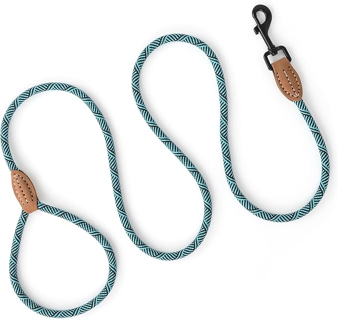 Mile High Life Small Dog Leash, Thin Rope Leash with Genuine Leather Connection and Heavy Duty Metal Clasp, Great for Small Medium Dogs(Turquoise Green, 48 Inch-1/3)