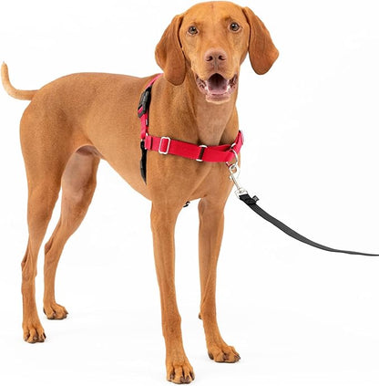 PetSafe Easy Walk Harness for Dogs - Pull-Free Walks - Patented Martingale Loop Design - Front Chest Leash Attachment - Comfort Straps - Breathable Harness Design - Medium, Red/Black