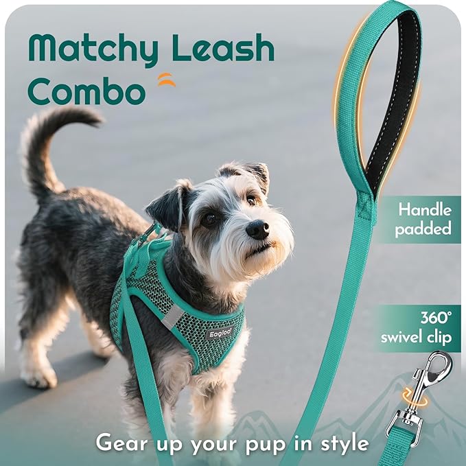 Eagloo Small Dog Harness and Leash Set, Step in Puppy Vest with Breathable Soft Mesh, Walking Reflective Pet Harness for Small Dogs, Forest Green, S