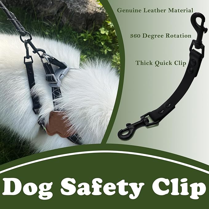Dog Safety Clip for Prong Collar, Waterproof Leash Backup Clip Connector, Dual Clasps Rotating Buckle for Pinch Collar (2 Pcs)