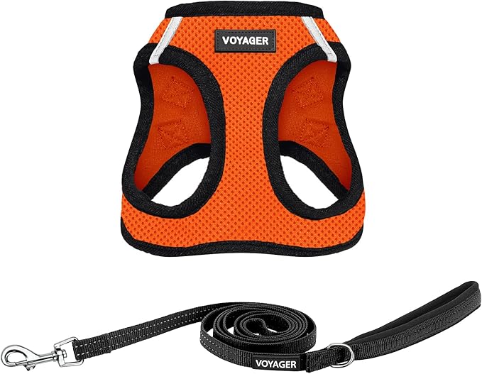 Best Pet Supplies Voyager Step-in Air All Weather Mesh Harness and Reflective Dog 5ft Leash Combo with Neoprene Handle, for Small, Medium and Large Breed Puppies - Set (Orange/Black Trim), Medium