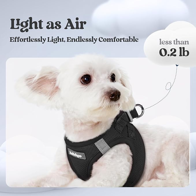 rabbitgoo Dog Harness Small Sized and Leash Set, Step in Soft Light Puppy Vest, Breathable Mesh Pet Harness, Reflective for Outdoor Safe Walking, Black XXXS