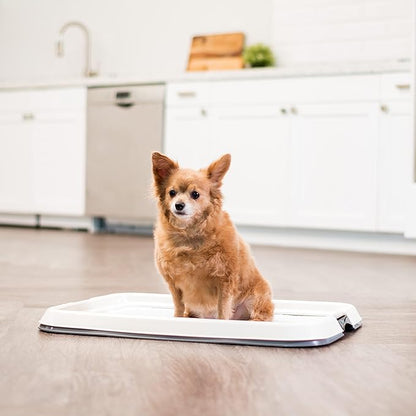 IRIS USA Pee Pad Holder for Dogs and Puppies, Potty Training Tray with Secured Latches, Non-Skid Feet, Leak Protection, Easy Clean Surface, Fits 17"x 23" Puppy Pads Size, Dark Gray