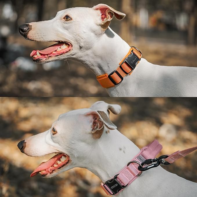 OneTigris Tough Dog Collars, Tactical Dog Collar with Handle, Milltary Adjustable Dog Collar with Heavy Duty Metal Buckle for Training (Orange, S)