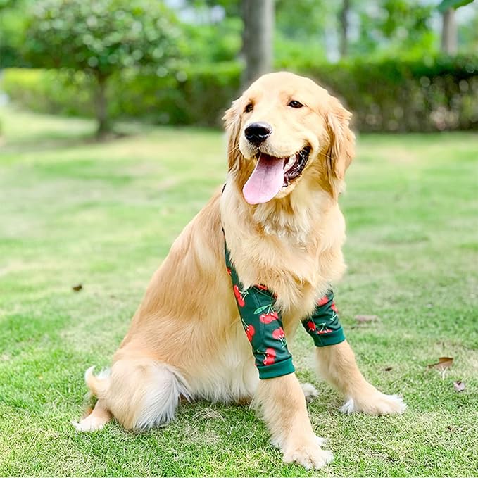 HDKUW Dog Elbow Protector, Dog Front Leg Recovery Sleeve for Prevent Licking Wound, Elbow Sleeves with Mesh Pad for Medium Large Dogs Cherry 2XL