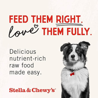 Stella & Chewy's Freeze-Dried Raw Beef Heart Dog Treats - Single Ingredient, No Additives - Premium Training Treats - Perfect For Picky Eaters - 3oz Bag