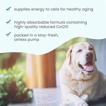Dr. Mercola Bark & Whiskers Ubiquinol Liquid Pump for Dogs & Cats, 1.45 Fl. Oz. (43 mL), 149 Pumps, Supports Healthy Immune Function, Veterinarian Formulated, Non-GMO