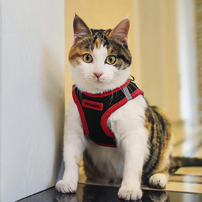 Best Pet Supplies - All Weather Mesh/Plush, Reflective, No Pull Harness for Small, Medium Dogs, Cats - Secure with Hook & Loop Fastener, Buckle, Double D-Rings - Black/Red Trim, XS