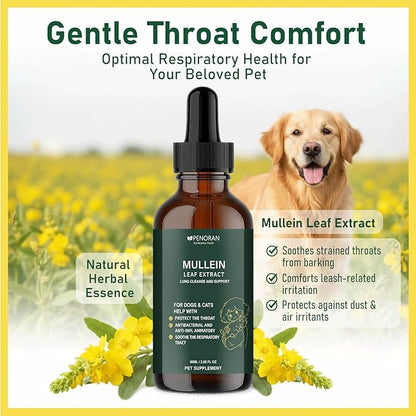 Cough Relief Mullein Drops for Dogs & Cats, Kennel/Dry/Wet Cough, Hoarseness, Seasonal coughing, Easy Breathing, Lung Cleanse, Better Lungs, Soothes Throat - Natural & Efficient ﻿ ﻿ ﻿