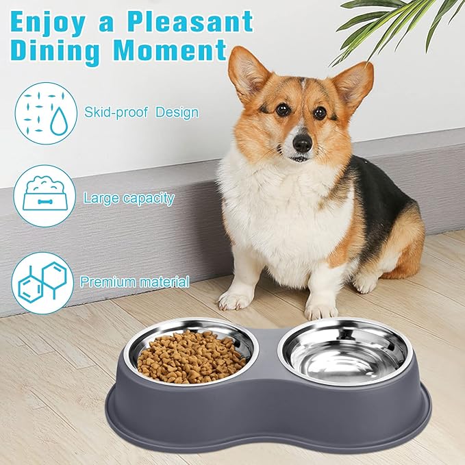 Epetslove Dog Bowl Double Dog Water and Food Bowl Stainless Steel Bowls with Non-Slip Resin Station, Pet Feeder Bowls for Puppy Medium Dogs Cats