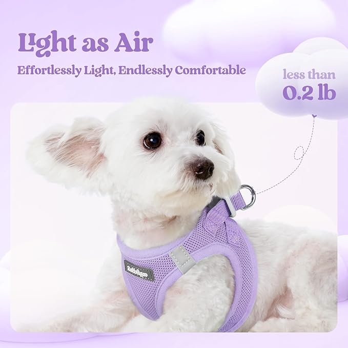 rabbitgoo Dog Harness Small Sized and Leash Set, Step in Soft Light Puppy Vest, Breathable Mesh Pet Harness, Reflective for Safe Easy Walking, Light Purple S
