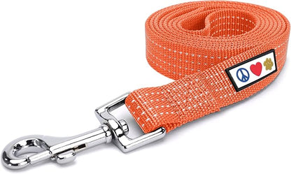 Pawtitas Orange Dog Leash 6 ft M/L Reflective Durable Lightweight Dog Lead for Medium or Large Dogs and Puppies