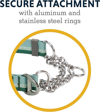 Ruffwear, Chain Reaction Dog Collar, Adjustable Reflective Martingale Escape-Proof Collar with Stainless Steel Chain, Professional Training Control, River Rock Green, 11"-14"