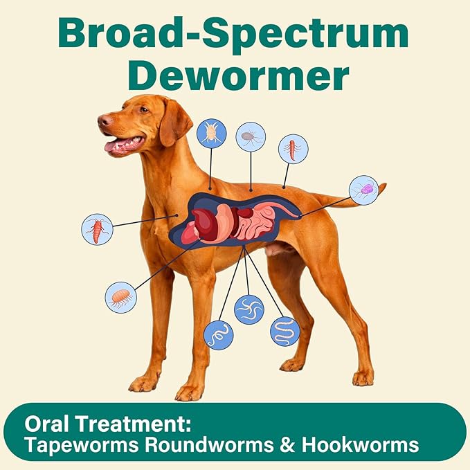 De-Wormer for Medium and Large Dogs, Oral Treatment for Tapeworm, Roundworm & Hookworm