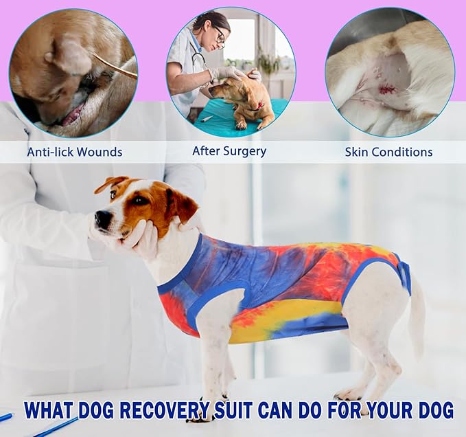 Dog Surgery Recovery Suit for Male Female, Spay Neuter Cone Alternative Surgical Onesie, Tie-dye Blue, M