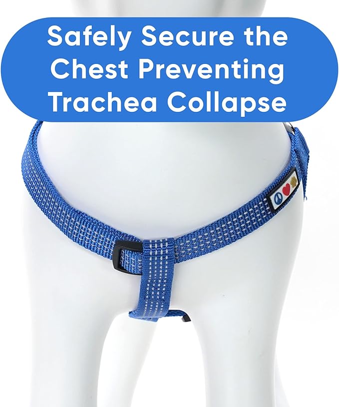 Pawtitas Reflective Step-in Dog Harness – Adjustable No-Pull Vest for Puppies to Seniors, Safe & Comfortable, XS Blue