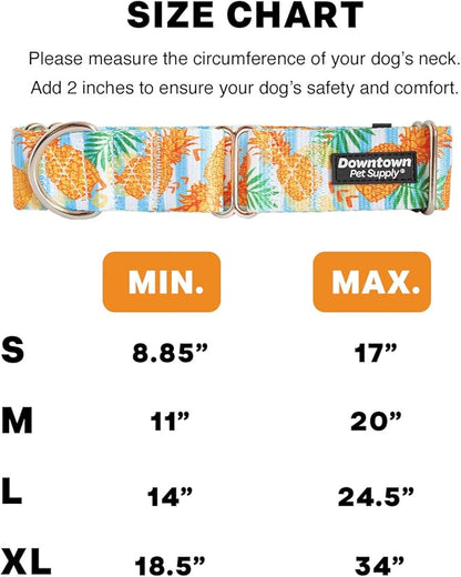 Downtown Pet Supply Big and Wide Durable Martingale Training Collars for Dogs and Puppy in Small,Medium,Large,and Extra Large Dog Collar (Pineapple),X-Large: 18.5 inch-34