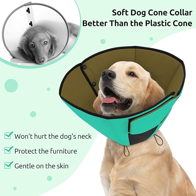 Queenmore Dog Cone Collar, Cone for Dogs to Stop Licking, Dog Cones for Medium Dogs, Adjustable Doggy Recovery Collars & Cones, Elizabethan Collar for Pets After Surgery, Green M