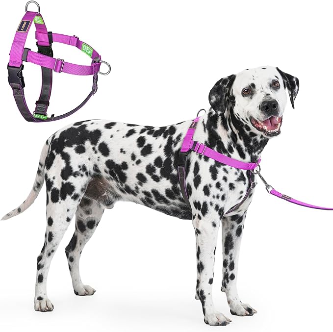 Freedom No Pull Dog Harness, Designed for Hound Dog Train, Easy Walk with 2 Stainless D-Rings, Sewn-in Instructions Tags for Easy Use, for Large Dogs Weight 60-80 lbs (Purple, L)