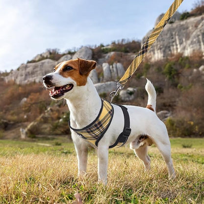 PUPTECK Soft Mesh Dog Harness and Leash Set Pet Puppy Cat Comfort Padded Vest No Pull Harnesses, Yellow, L