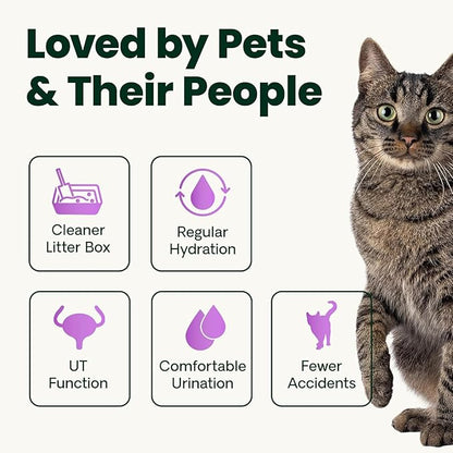 VetriScience UT Health Powder, UT Strength Cranberry D-Mannose Bladder and Urinary Tract Supplement for Cats, Bromelain and Probiotics, Healthy Mineral Balance, Chicken & Cheese, 60 Scoops