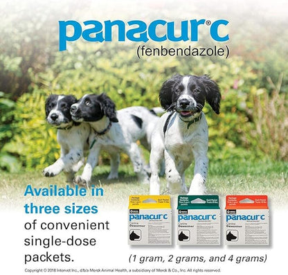 Panacur C Canine Dewormer Dogs 1 (3 Packets) Gram Each Packet Treats 10 lbs
