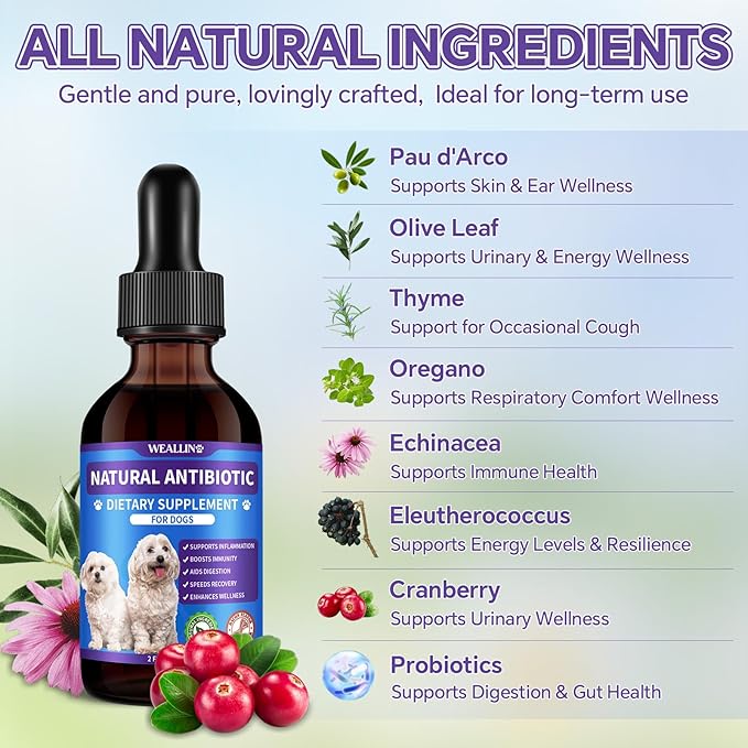Dog Antibiotics Support - 2PCS Natural Antibiotics Care for Dogs Herbal Supplement for Cough Allergy Itch Relief Immune Support Dog UTI Comfort for All Breeds & Ages - 120 ml/4 Fl Oz Bacon Flavor