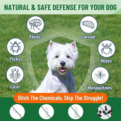 Natural Flea and Tick Prevention for Dogs, Oral Herbal Dog Flea and Tick Treatment Drops with Pumpkin Seed & Black Walnut for Dogs, Skin & Coat Care - Digestive & Immune for All Breeds and Ages, 60ml