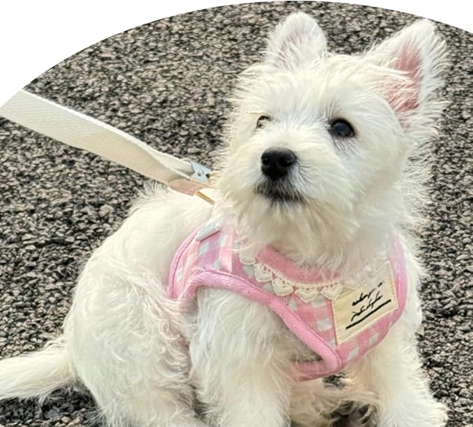 Country Chic Pet Harness and Leash Set, Gingham Pattern Breathable Mesh (Yellow, L(14.3-22.0 IBS)/(6.5-10 KG))