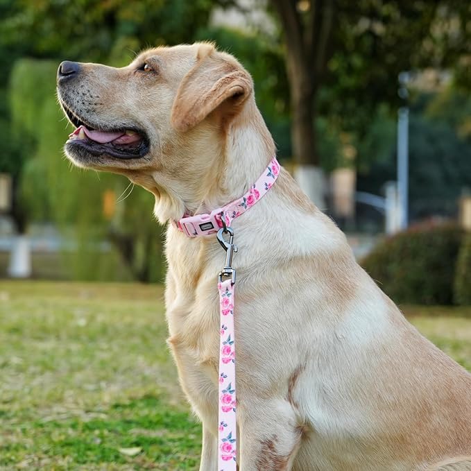 Dog Collar and Leash Set, Cute Rose Pattern, Polyester Material, 5ft Leash, for Large Dogs.(Large,Pink Rose)