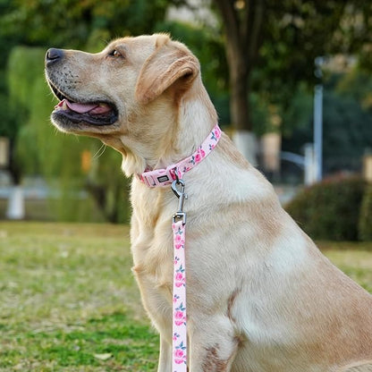 Dog Collar and Leash Set, Cute Rose Pattern, Polyester Material, 5ft Leash, for Medium Dogs.(Medium,Pink Rose)