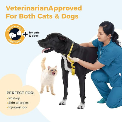 Inflatable Dog Cone for Small Dog Designed for Comfortable Post-Surgical Recovery Ultra-Soft Comfort Unblocked View No Disruption to Dog's Daily Life