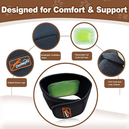 Dog Neck Brace with Hot/Cold Compress, Cervical Spine Support Collar for Dogs with IVDD, Neck Pain, Injury & Post-Surgery Recovery(S)