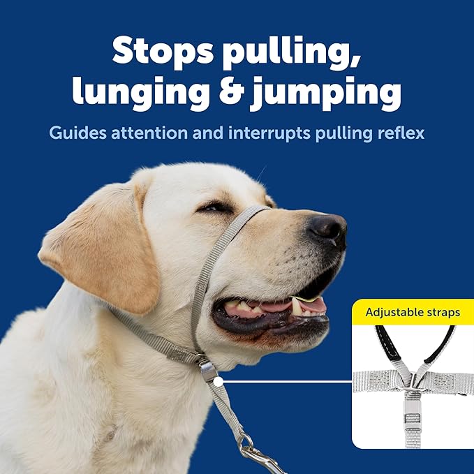 PetSafe Gentle Leader Headcollar No-Pull Dog Collar - Helps Improve Walks - Durable Nylon Construction - Padded Nose Loop - Adjustable Fit - Comfort Walking Halter - Large, Royal Blue