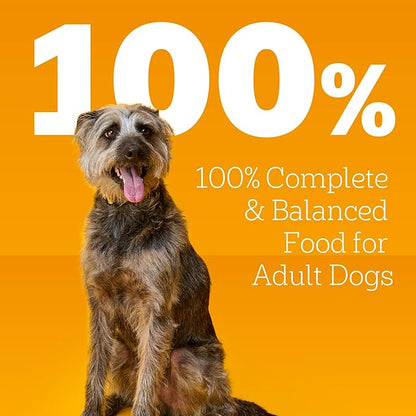 Pedigree Wet Dog Food, Choice Cuts Adult Canned Dog Food, Country Stew Flavor, 13.2 oz. Cans, 12 Count