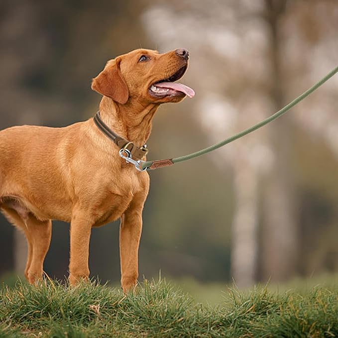 Mile High Life Leather Dog Leash, Heavy Duty Strong Genuine Leather Handle Rope Leash Soft and Comfortable for Small Medium Large Dogs (Olive Green, 72 Inch)