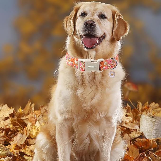 ARING PET Spring Summer Dog Collar, Cute Daisy Wildflower Floral Blossom Pet Collars for Small Medium Large Girl Dogs-XL Size